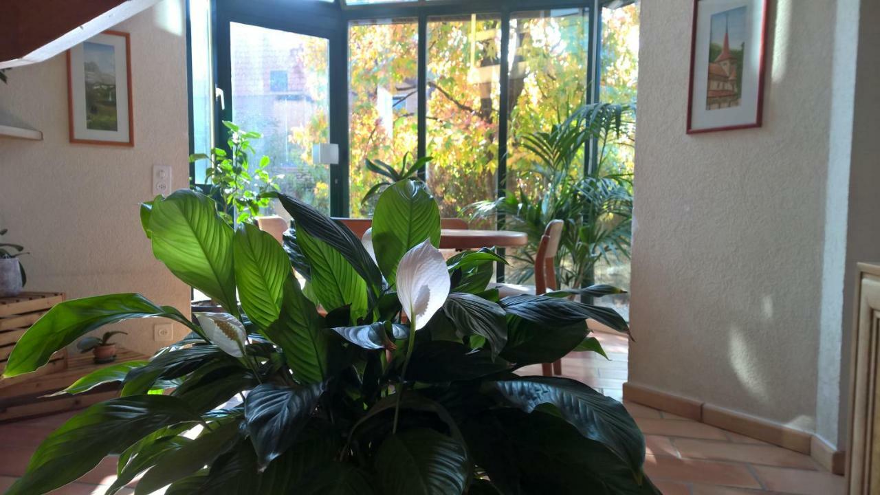 Guest House La Sereine Romanel-sur-Morges 外观 照片